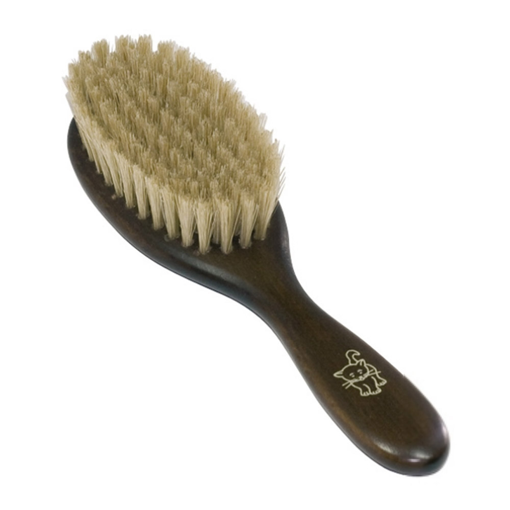 Brosse chat