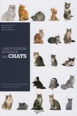 Toutes les races de chats du monde