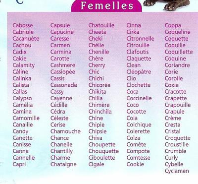Prenom De Chats Males