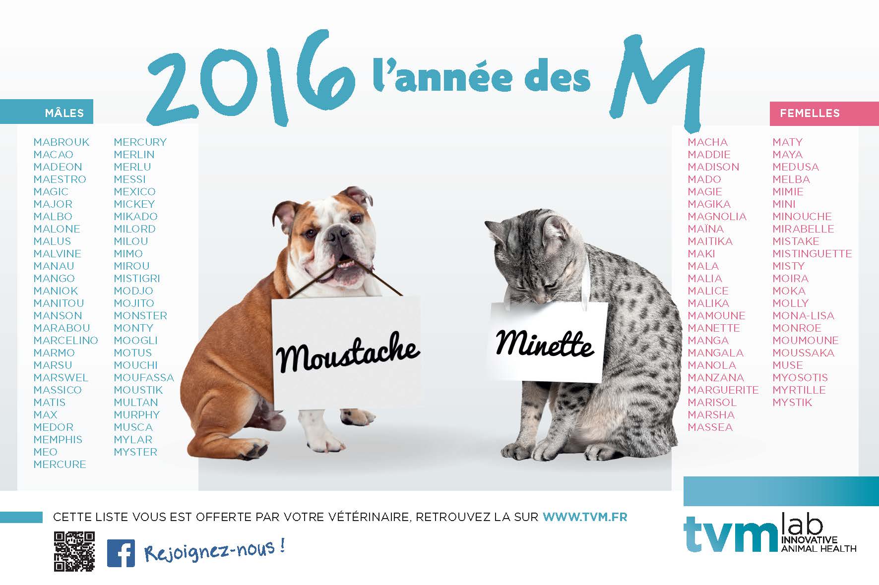 Des noms pour chats