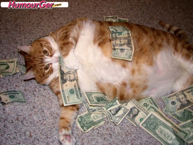 Un grand chat